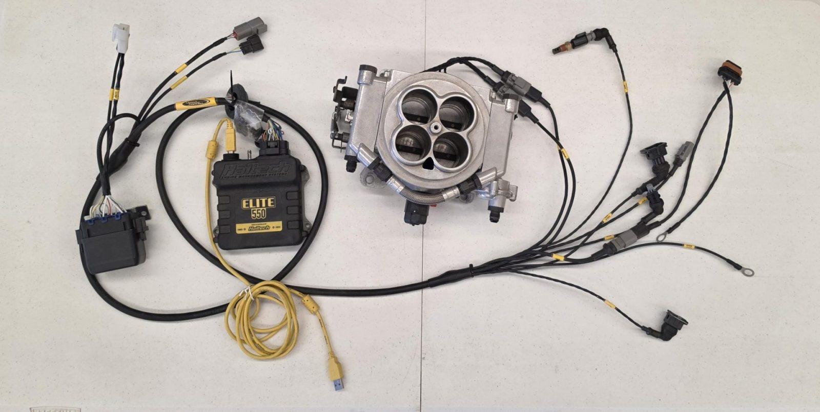 Holley Sniper / Haltech 550 Elite - Image 2