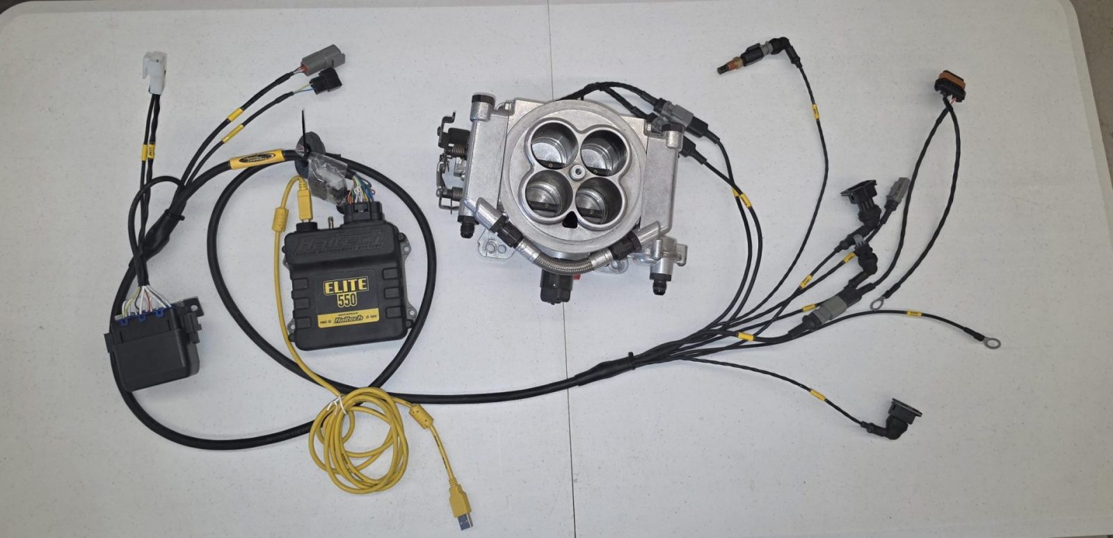 Holley Sniper / Haltech 550 Elite